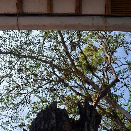 Albahaca Hospedaje Tienda Barichara Bagian luar foto